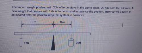 Can someone help me?