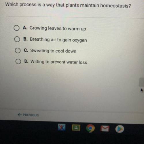 Which process is a way that plants maintain homeostasis