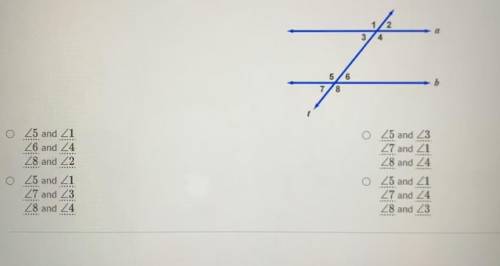 Draw a pair of parallel lines with a transversal passing through the lines (and not perpendicular t