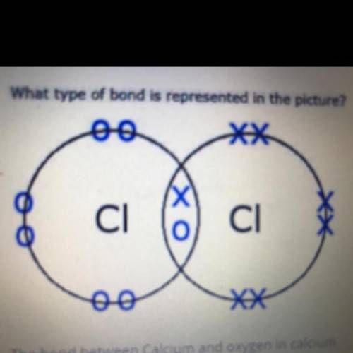 What type of bond is represented in the picture