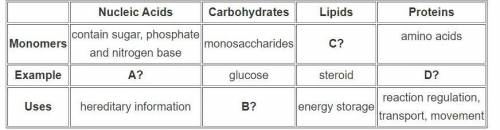HELP ASAP!!

Which of the following correctly completes the table?
A=DNA or RNA, B=cell energy and