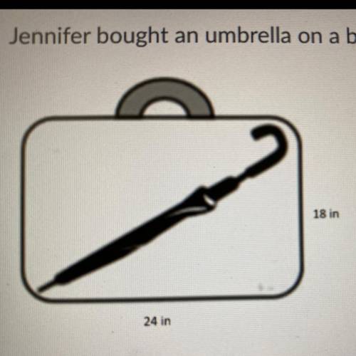 Jennifer brought an umbrella on a business trip. The umbrella is 29 inches long.

Jennifer thinks