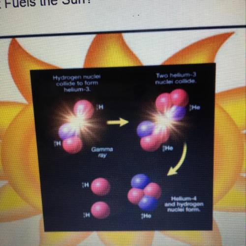Explain how the model shows how the reaction inside the sun leads to the release of energy include