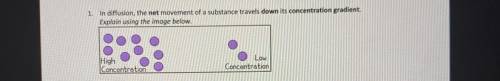 In diffusion, the net movement of a substance travels down its concentration gradient

Explain usi