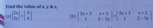 Find the value of x, y&z.(b)