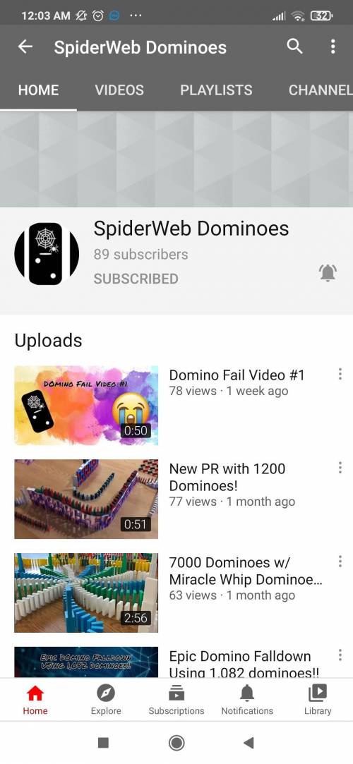 Please Sub to my channel SpiderWeb DOminoes