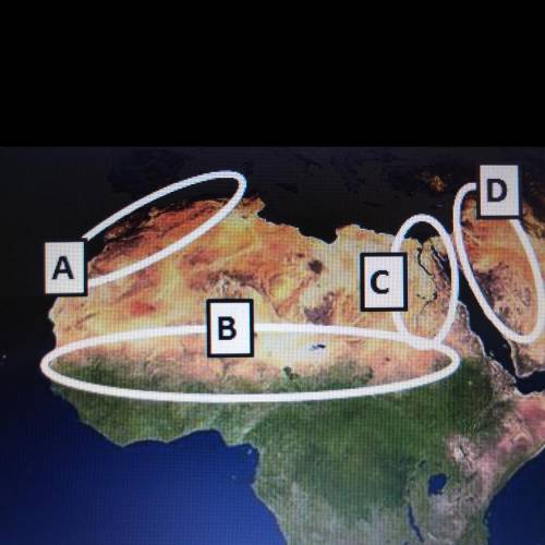 On the map above Which Oval Circles The Nile river valley?

A. Oval A
B. Oval B
C. Oval C
D. Oval