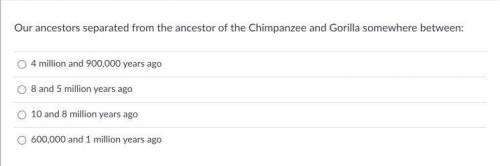 Our ancestors separated from the ancestor of the Chimpanzee and Gorilla somewhere between:

A. 4 m