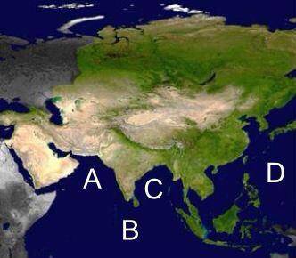 Where is the Arabian Sea located on the map above?

A.
Letter A
B.
Letter B
C.
Letter C
D.
Letter
