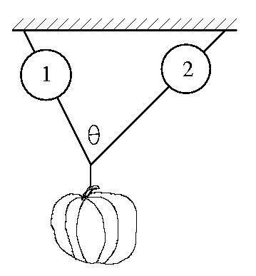 Find the weight of a pumpkin hanging from two scales, if scale one reads 55 N, scale two reads 58 N