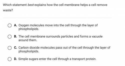 Which statement best explains how the cell membrane helps a cell remove waste