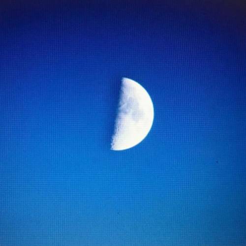 What phase of the moon would this be?

1st quarter, waxing half moon
3rd quarter, waning half moon