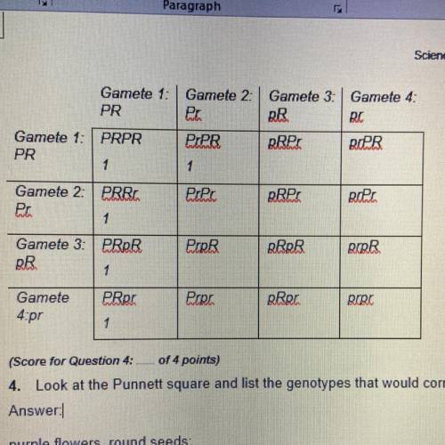 Please help!

4. Look at the Punnett square and list the genotypes that would correspond to each p