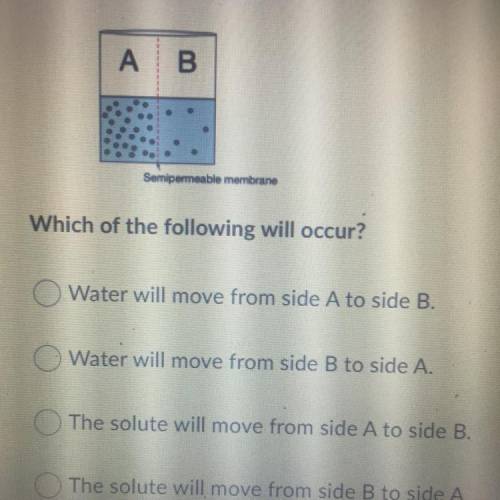 Which of the following will occur?

A: Water will love from side A to side B.
B: Water will move f