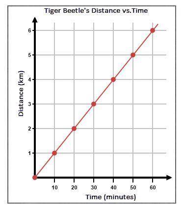Please help 25 points!

Calculate the Tiger Beetle's Speed as shown in the graph below.
a. 0.1 km/