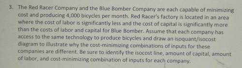 3. The Red Racer Company and the Blue Bomber Company are each capable of minimizing

cost and prod