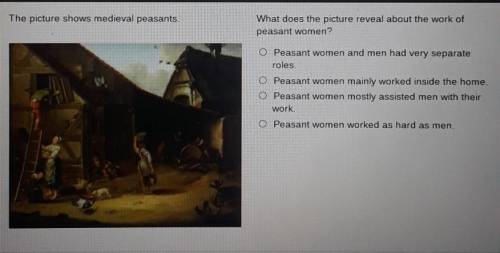 The picture shows medieval peasants.

What does the picture reveal about the work of peasant women