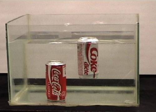 2. Guiding question: Why does the coke can sink, while the diet float?