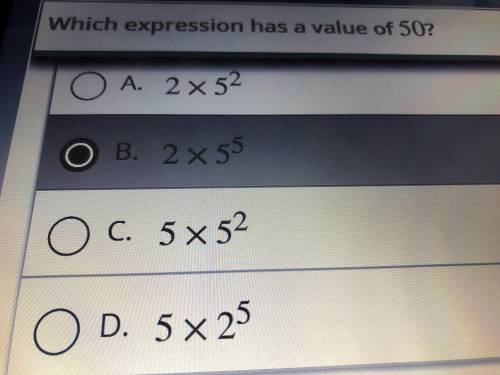 What is the correct answer I need help