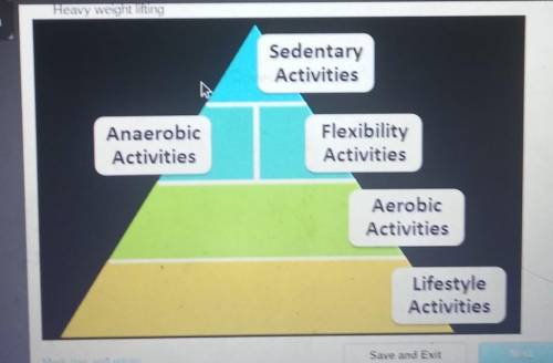 Where would the following activity best fit on the physical activity pyramid