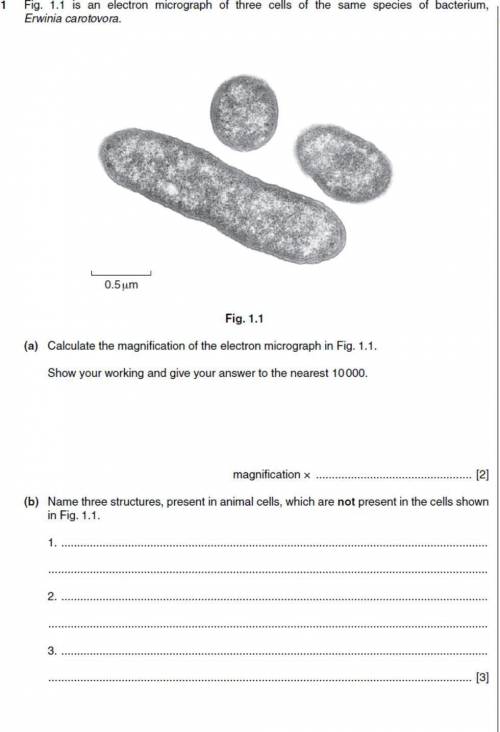 1. Calculate the magnification of the electron micrograph in Fig. 1.1.

Show your working and give
