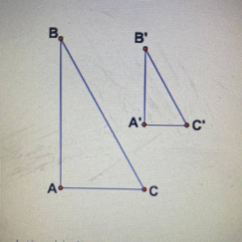 Triangle ABC was dilated by 50% what is the relationship between AC and A’C’

A) AC= A’C’ 
B) AC=