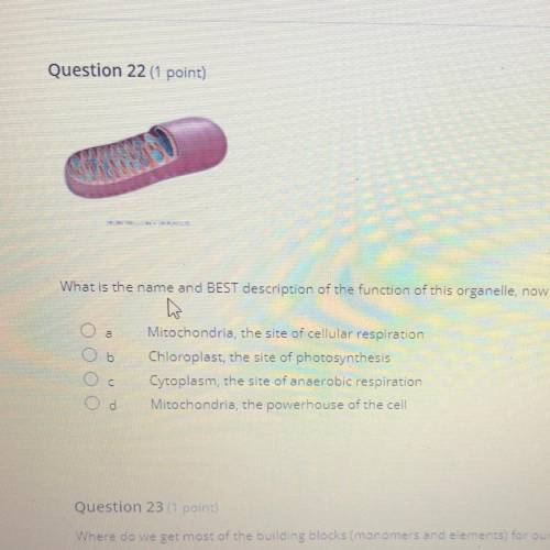 Please help I do not know the answer to this question