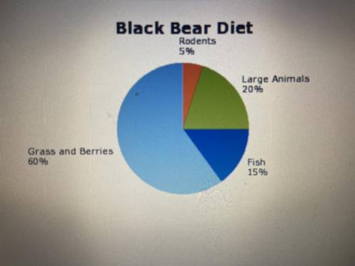 Based on the chart identify which of these events would affect the Georgia

Black Bear population
