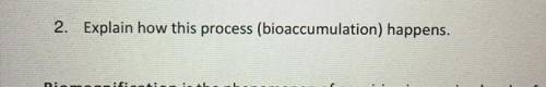 Can someone explain how the process of bioaccumulation happens?? ‼️10 points‼️