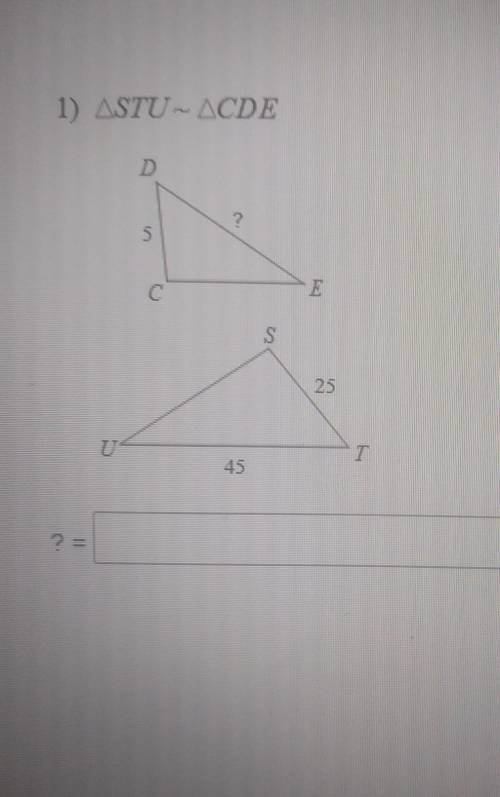 I really need help with this question please help
