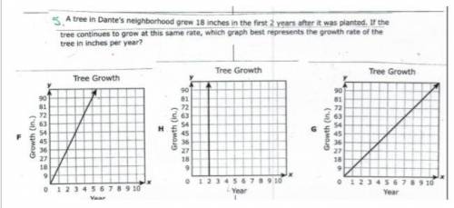 a tree in dante's neighborhood grew 18 inches in the first 2 years after it was planted. if the tre