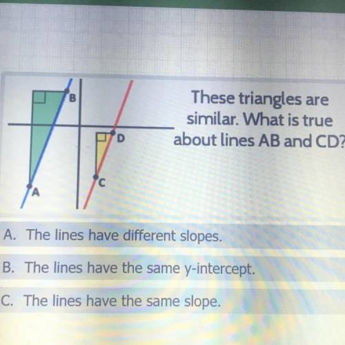 Please help!!

these triangles are similar. What is true about lines AB and CD? 
a. the lines have