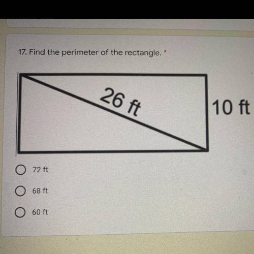 17. Find the perimeter of the rectangle. please help me