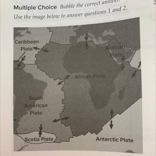 1. In the diagram above, what does the irregular line between the South American and African plants