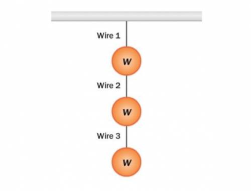 In a museum exhibit, three equal weights of 40.0 N are hung with identical wires, as shown. What is