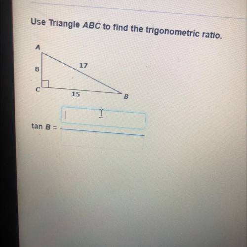 Use Triangle ABC to find the trigonometric ratio.
tan B =