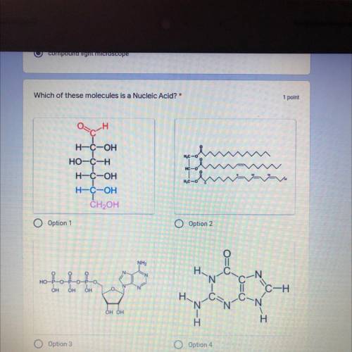 Which of these molecules is a Nucleic Acid? (WORTH 35 POINTS!) Correct answer will get brainliest!!