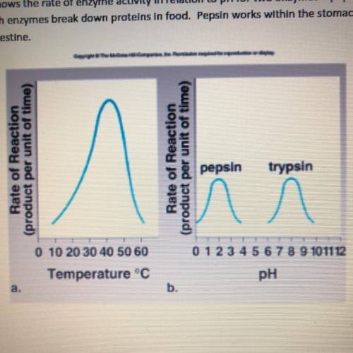 Please help!!!

Part A: what does the graph indicate about the pH of the stomach and small intest