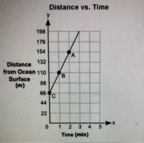 The graph shows the depth, y, in meters, of a shark from the surface of an ocean for a certain amou