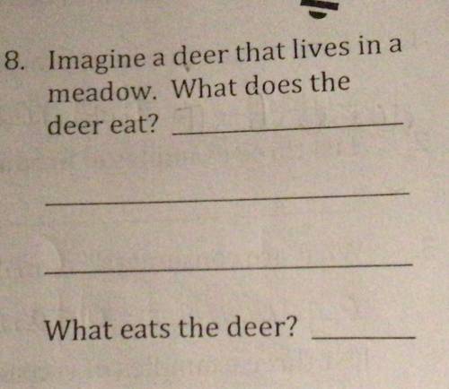 Help Please!

Imagine a deer that lives in the meadow. What does the deer eat?
What eats the deer?