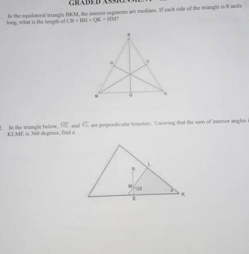 Please help me with these 2 problems