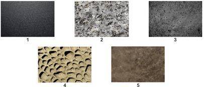 Look at the images of different rocks.

Which two rocks have a fine-grained texture?
1 and 5
2 and