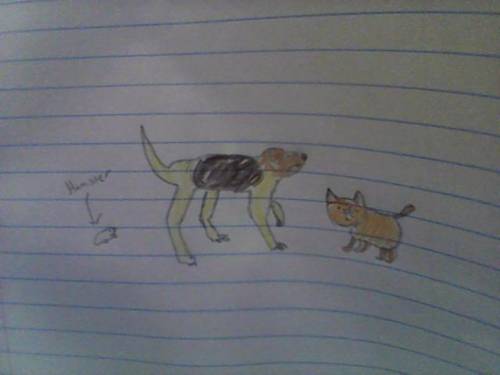 I drew my fat animals :)
Help Me! :)