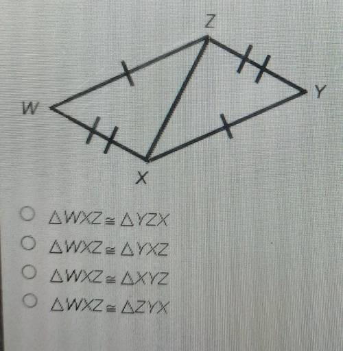 Which statment describes the congruent triangles?