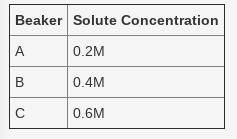 Four bags, each with a concentration of 0.4 M are placed in four different beakers. Each beaker con