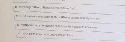 Place the steps of protein synthesis in orderpls asap