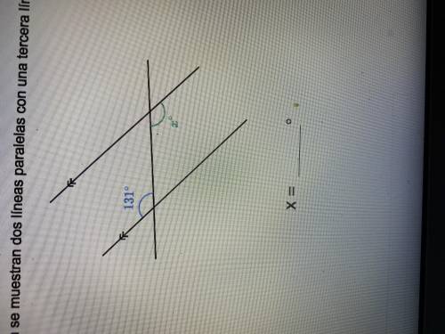 What is x = to? If you know it would be really helpful thanks