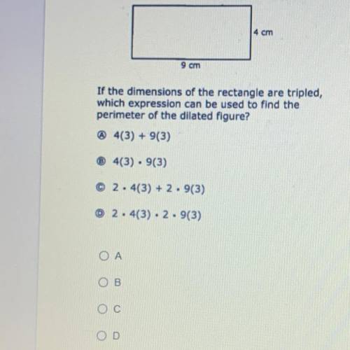 Can someone help me please if you don’t know the answer or think you might know please don’t answer