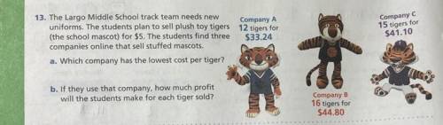 The largo middle school track team needs new uniforms. The students plan to sell push you tigers (t