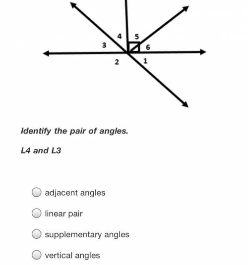 Identify the pair of angles.
L4 and L3